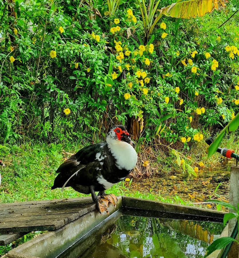 Pousada Areias Do Embau Guarda do Embau Bagian luar foto